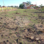 Terreno à venda em Jardim Aracy, Mogi das Cruzes, SP