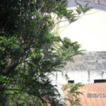 Terreno à venda em Horto Florestal, São Paulo, SP