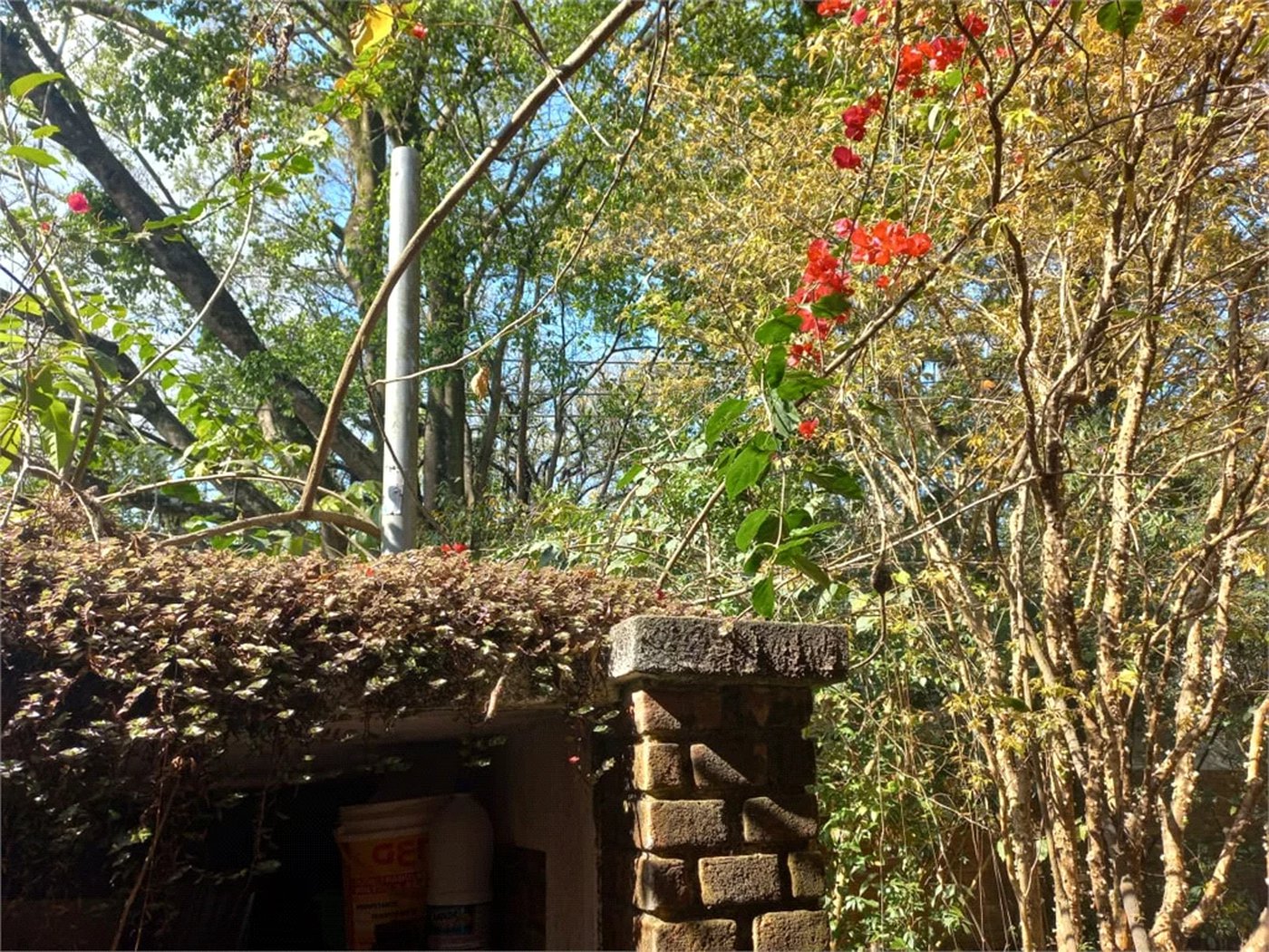 Casa à venda com 3 quartos, sendo 2 suítes,  em Morumbi, São Paulo, SP