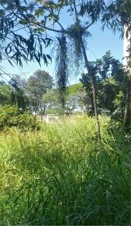 Terreno à venda em Paraisópolis, São Paulo, SP