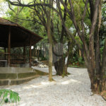 Vila Arboreto, 3 suítes, terraço gourmet. lindo!