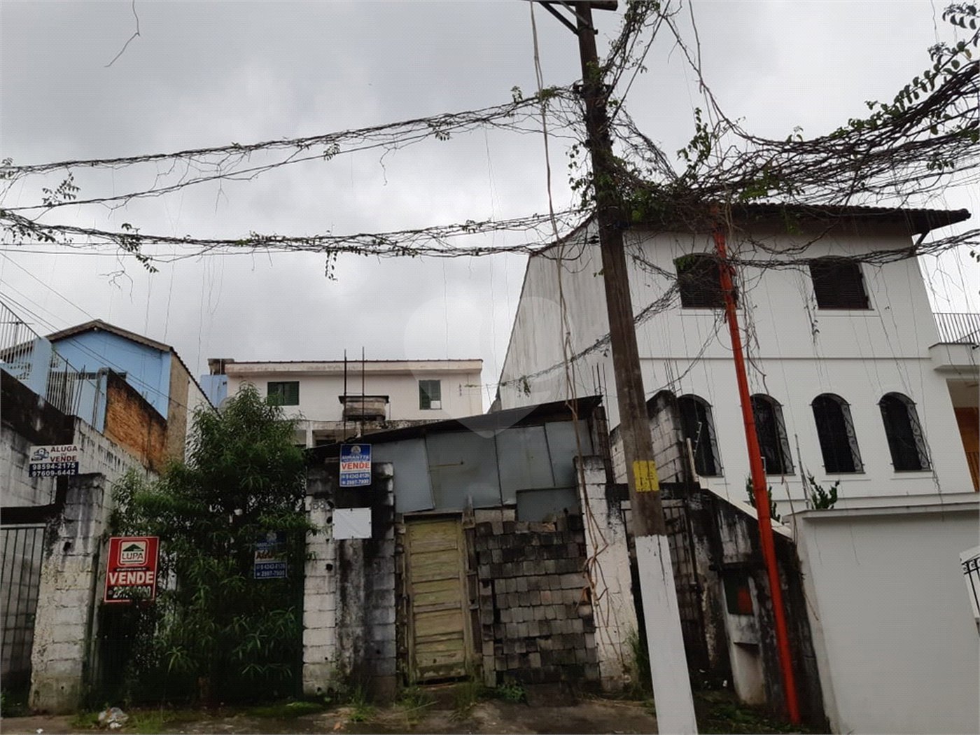 Terreno à venda em Horto Florestal, São Paulo, SP