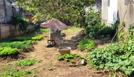 Terreno à venda em Tucuruvi, São Paulo, SP