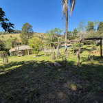 Sítio à venda com 7 alqueires, em Serra do Capetinga, Itapeva - MG