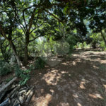 Terreno à venda em Residencial Emilio de Andrade, Ponta Porã, MS