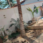 Casa à venda com 5 quartos, sendo 1 suíte, em Campo Grande, Rio de Janeiro, RJ