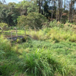 Terreno à venda em Chácara Fernão Dias, Bragança Paulista, SP