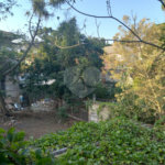 Terreno à venda em Tremembé, São Paulo, SP