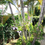 Casa à venda com 4 quartos, sendo 2 suítes, no condomínio Vinhas da Vista Alegre - Lado Sede, Vinhedo - SP