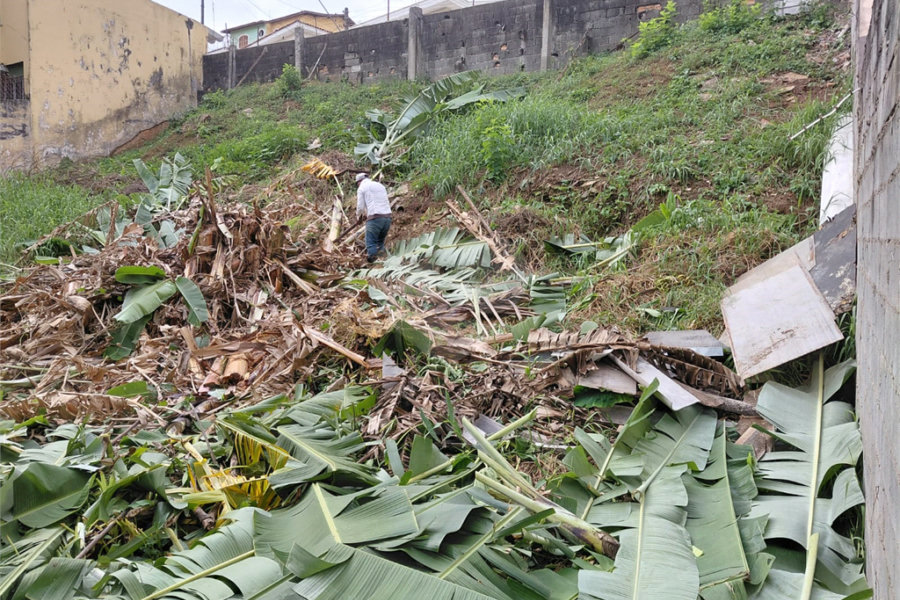Terreno à venda em Tucuruvi, São Paulo, SP