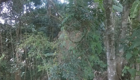 Terreno à venda em Serra da Cantareira, Mairiporã, SP