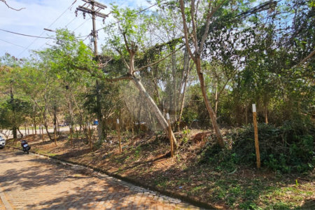 Terreno à venda em Albatroz, Armação dos Búzios, RJ