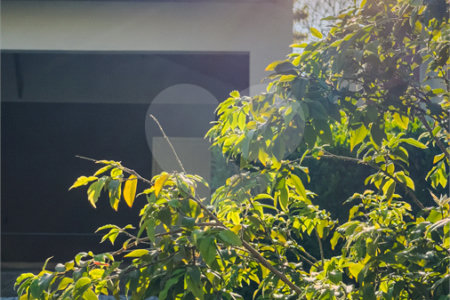 Casa à venda com 4 suítes no condomínio Villa Borghese, Indaiatuba - SP