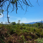 Terreno à venda em Serra da Cantareira, Mairiporã, SP