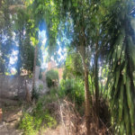 Casa à venda com 3 quartos em Jardim Campos Dourados, Monte Mor, SP