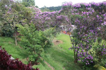 Chácara à venda com 3 quartos, sendo 1 suíte, em Jardim 21 de Março, Louveira, SP