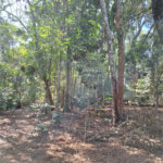 Chácara à venda ou para alugar com 3 quartos, sendo 1 suíte,  em Parque Residencial Itapeti, Mogi das Cruzes, SP