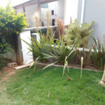 Sobrado à venda com 5 suítes no Centro, Vinhedo, SP