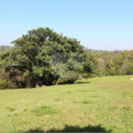 Terreno à venda em Condomínio Terras de São José, Itu, SP