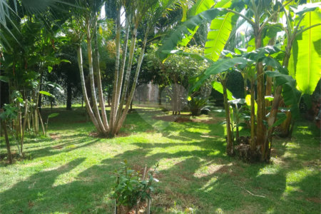 Casa à venda ou para alugar com 2 quartos, sendo 1 suíte,  em Vila Novo Horizonte, Itapetininga, SP