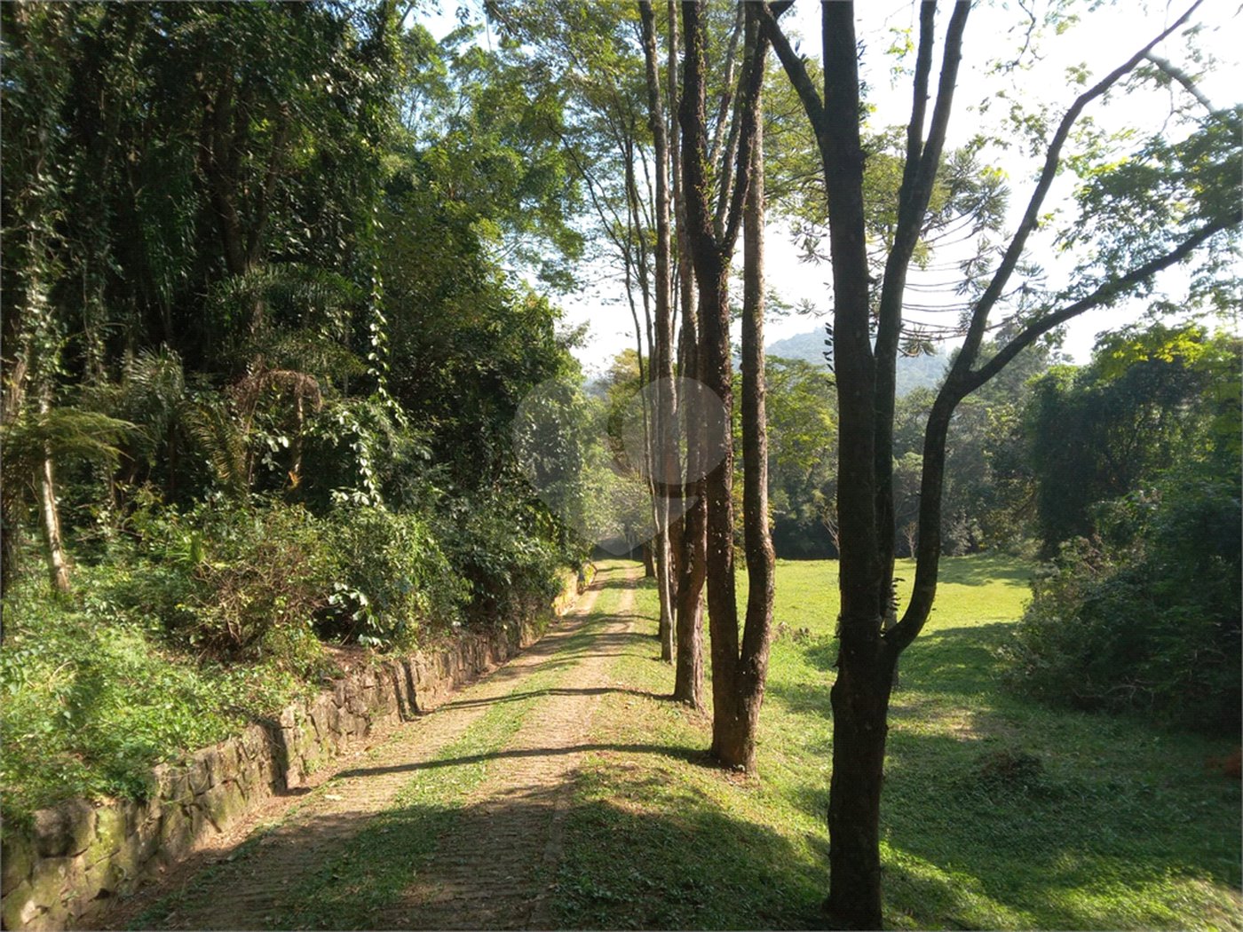 Sítio à venda em Chácara São João, Campo Limpo Paulista, SP