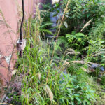 Terreno à venda em Vila Guilherme, São Paulo, SP