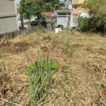Terreno à venda em Jardim Guedala, São Paulo, SP