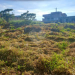 Terreno à venda no condomínio Realle, Louveira - SP