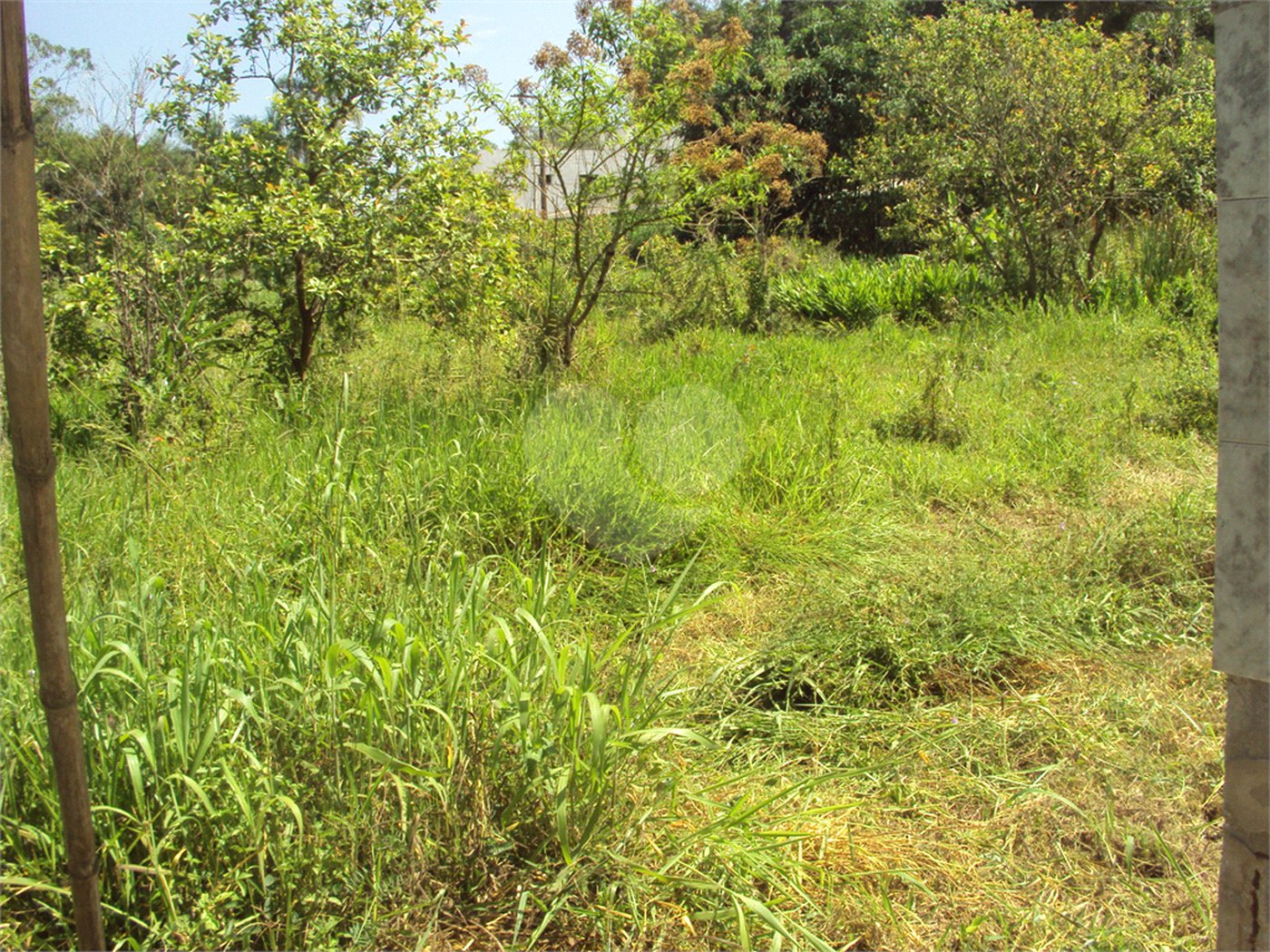 Chácara à venda com 1 quarto em Cruz das Almas, Biritiba-mirim, SP