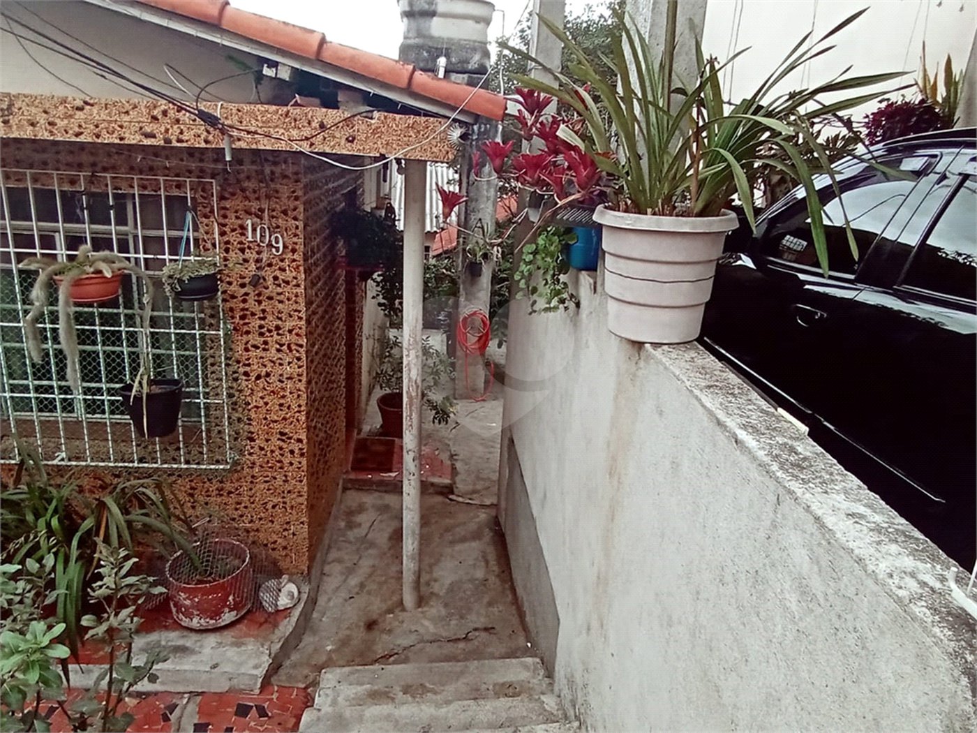 Casa Térrea à venda com 2 quartos em Vila Graziela, São Paulo, SP