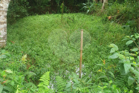 Terreno à venda em Vila Moraes, Mogi das Cruzes, SP