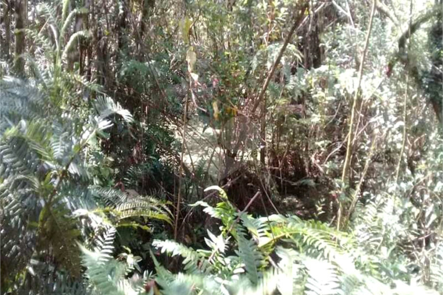Terreno à venda em Serra da Cantareira, Mairiporã, SP