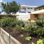 Sobrado à venda com 5 quartos, sendo 1 suíte, em Jardim São Bento, São Paulo, SP