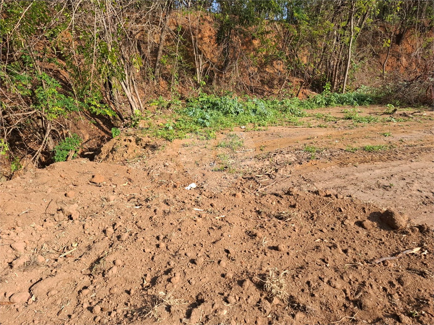 Terreno à venda em Recanto Campestre Internacional de Viracopos Gleba 6, Indaiatuba, SP