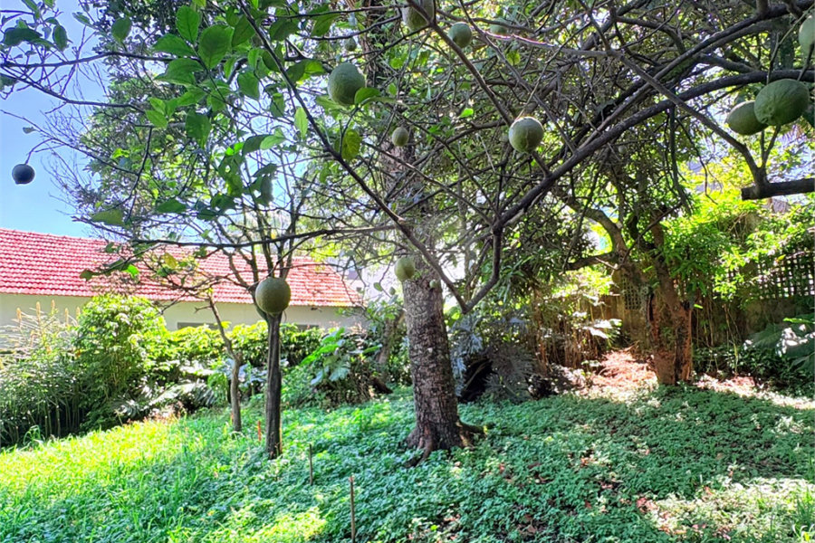 Casa Térrea à venda com 3 quartos, sendo 1 suíte, em Jardim Floresta, São Paulo, SP