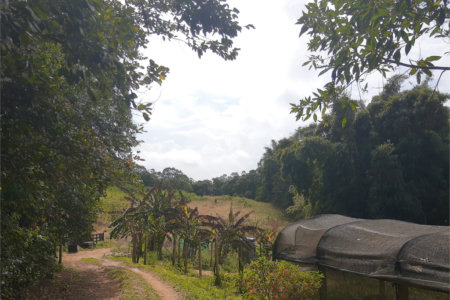 Sítio à venda com 5 quartos, sendo 1 suíte,  em Área Rural de Tapiraí, Tapiraí, SP