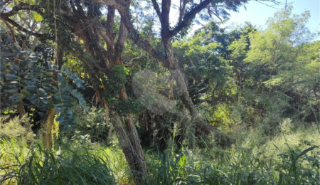 Terreno à venda em Jardim Paulista, Atibaia, SP