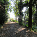 Terreno à venda no condomínio Chácara Flora, São Paulo - SP