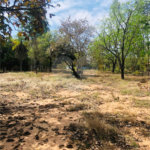Sítio à venda com 3 quartos em Área Rural de Três Lagoas, Três Lagoas, MS