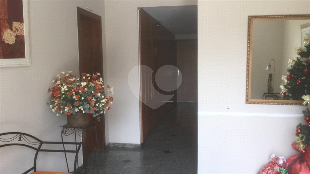 Apartamento à venda com 3 quartos, sendo 1 suíte, em Tucuruvi, São Paulo, SP