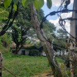 Terreno à venda em Tremembé, São Paulo, SP