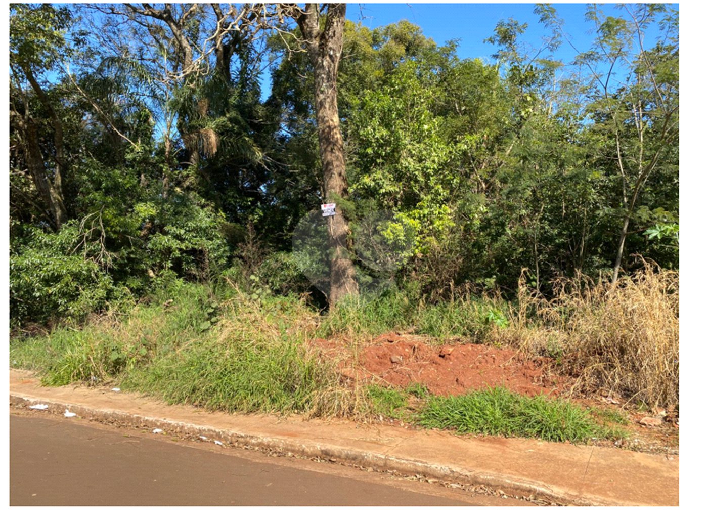 Terreno à venda em Jardim Altos da Glória, Ponta Porã, MS