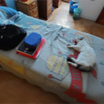 Casa à venda com 6 quartos, sendo 3 suítes, em Grajaú, Rio de Janeiro, RJ