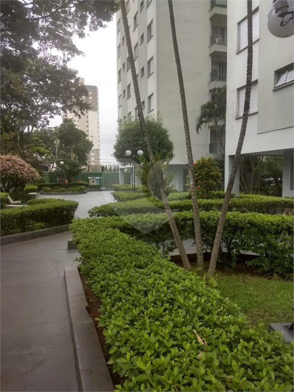 Apartamento à venda com 2 quartos em Mandaqui, São Paulo, SP