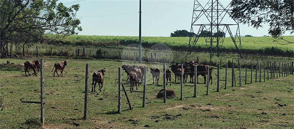 Sítio à venda com 2 suítes em Buru, Salto, SP