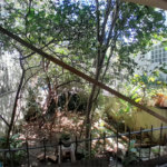 Casa à venda com 4 quartos em Vila Ipojuca, São Paulo, SP