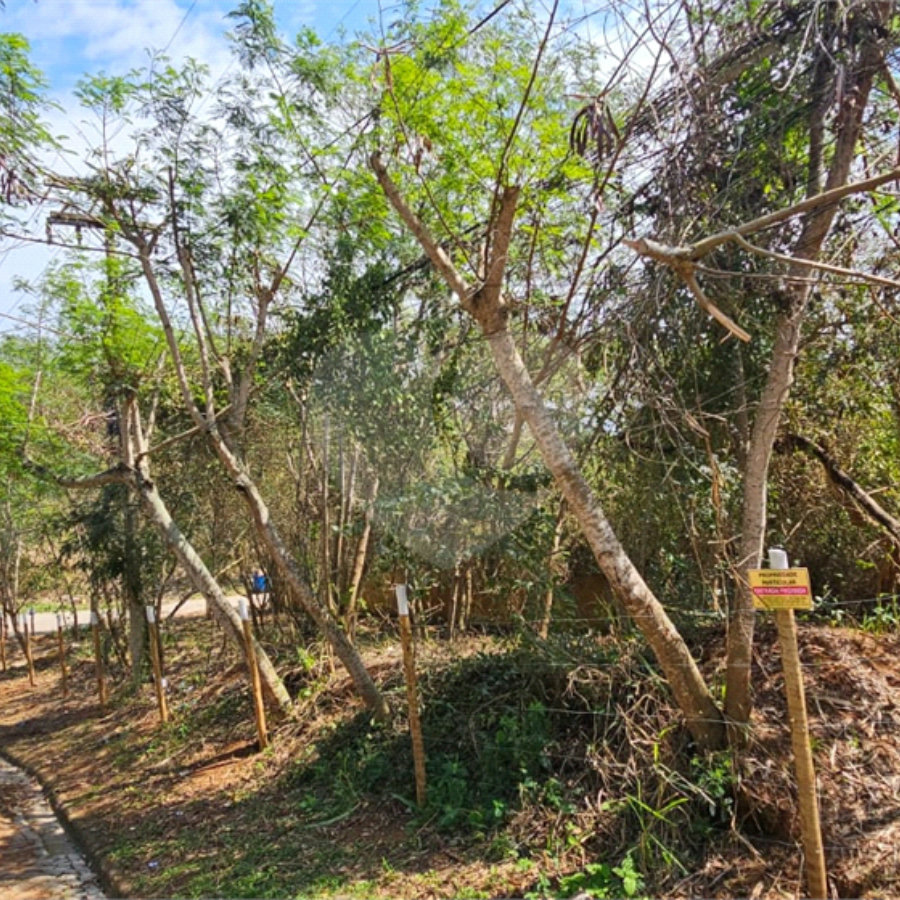 Terreno à venda em Albatroz, Armação dos Búzios, RJ
