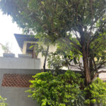 Casa à venda com 2 quartos, sendo 1 suíte, em Jardim das Acácias, São Paulo, SP
