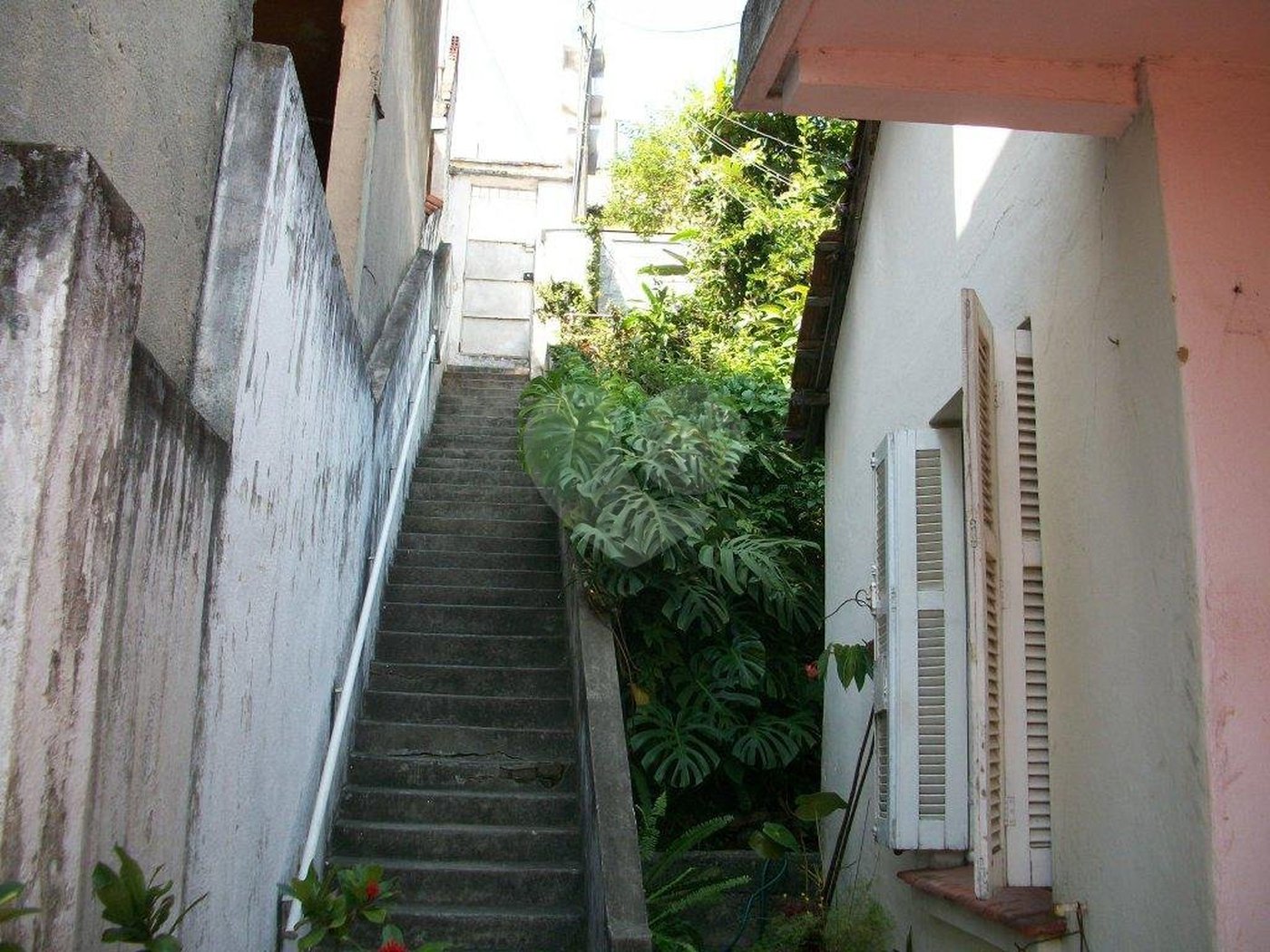 Casa Térrea à venda com 2 quartos em Vila Maria Alta, São Paulo, SP
