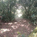 Chácara à venda em Bairro Biscoito Duro, Itapetininga, SP